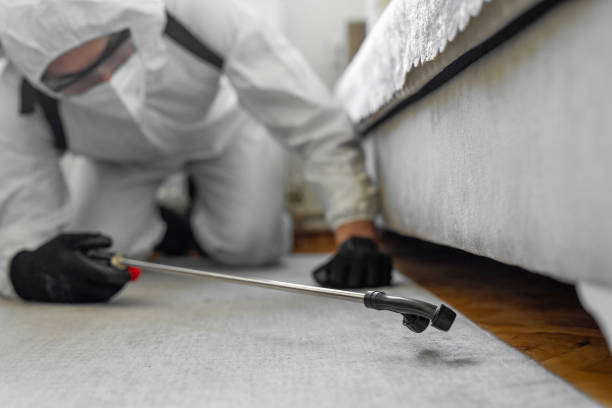 Professional Bed Bug Control technician working in Sparrow Bush, NY