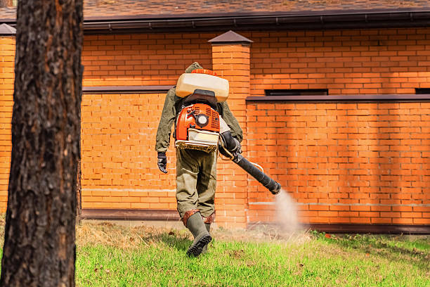 Trusted Bed Bug Control service in Sparrow Bush, NY - Nex Pest Control